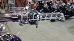 2002 Harley-davidson FLSTF FAT BOY Concord Purple