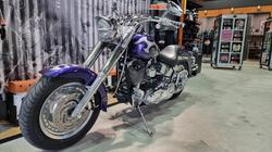 2002 Harley-davidson FLSTF FAT BOY Concord Purple