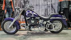 2002 Harley-davidson FLSTF FAT BOY Concord Purple