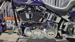 2002 Harley-davidson FLSTF FAT BOY Concord Purple