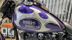 2002 Harley-davidson FLSTF FAT BOY Concord Purple