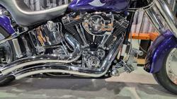 2002 Harley-davidson FLSTF FAT BOY Concord Purple