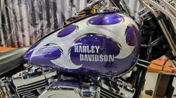 2002 Harley-davidson FLSTF FAT BOY Concord Purple