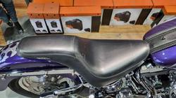 2002 Harley-davidson FLSTF FAT BOY Concord Purple