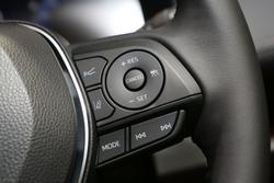 2025 Toyota RAV4 Cruiser