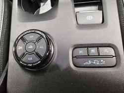 2025 Ford Everest Trend