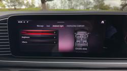 2024 Mercedes-Benz GLS-Class GLS450 d