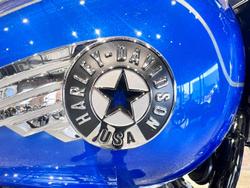 2025 Harley-Davidson Fat Boy 117 (FLFB) Softail Blue
