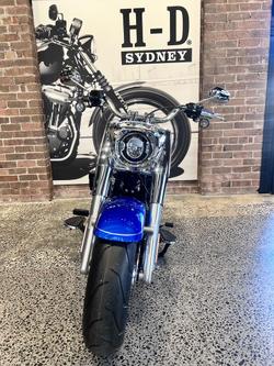 2025 Harley-Davidson Fat Boy 117 (FLFB) Softail Blue