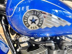 2025 Harley-Davidson Fat Boy 117 (FLFB) Softail Blue