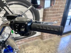 2025 Harley-Davidson Fat Boy 117 (FLFB) Softail Blue