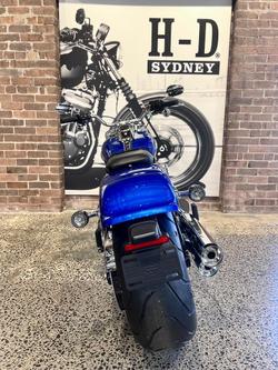 2025 Harley-Davidson Fat Boy 117 (FLFB) Softail Blue