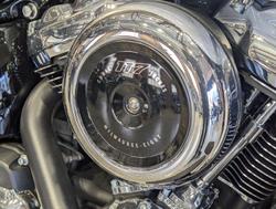 2025 Harley-Davidson Heritage Classic 117 (FLHC) Softail White