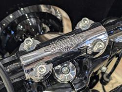 2025 Harley-Davidson Heritage Classic 117 (FLHC) Softail White