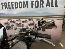 2025 Harley-davidson FXLRST LOW RIDER ST (117) BILLIARD GREY