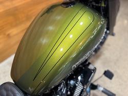 2022 Harley-davidson FXBRS BREAKOUT (114) MINERAL GREEN DENIM