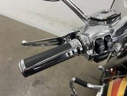 2014 HARLEY-DAVIDSON CVO SOFTAIL DELUXE Orange