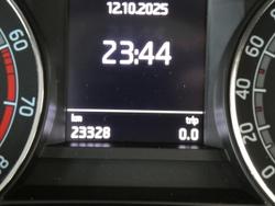 2020 SKODA
                Fabia 81TSI