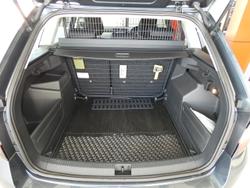 2020 SKODA
                Fabia 81TSI