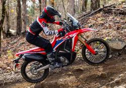 2024 Honda
CRF300 Rally