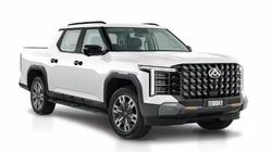 LDV Terron 9