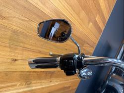 2008 Harley-davidson FXST SOFTAIL STANDARD Blue