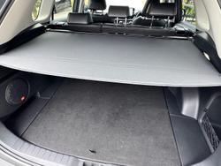 2024 Toyota
                RAV4 Cruiser