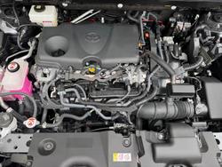 2024 Toyota
                RAV4 Cruiser