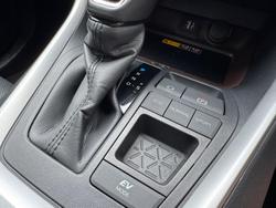 2024 Toyota
                RAV4 Cruiser