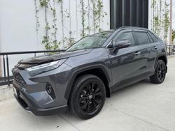 2024 Toyota
                RAV4 Cruiser
