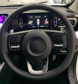 2025 GWM Cannon Lux NPW 4X4 Dual Range Pearl White