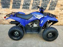 Yamaha Grizzly 110 (YFM110G)