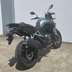 2024 Suzuki V-Strom 800 V-Strom Green