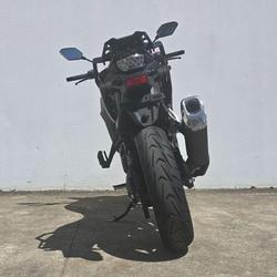 2024 Suzuki V-Strom 800 V-Strom Green