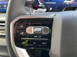 2025 LDV Terron 9 Evolve