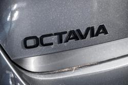 2025 SKODA
                Octavia 110TSI SportLine