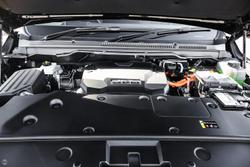 2025 GWM
Cannon Alpha Lux PHEV