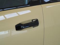 2025 LDV Terron 9 Evolve