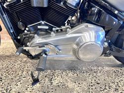 2022 Harley-Davidson Softail Standard 107 (FXST) Softail Black