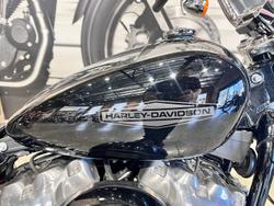 2022 Harley-Davidson Softail Standard 107 (FXST) Softail Black