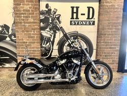 Harley-Davidson Softail Standard 107 (fxst)