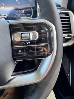 2025 LDV Terron 9 Evolve