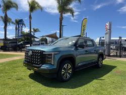 2025 LDV
Terron 9 Evolve