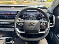 2025 LDV
Terron 9 Evolve