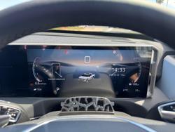 2025 LDV
Terron 9 Evolve