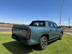 2025 LDV
Terron 9 Evolve