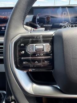 2025 LDV
Terron 9 Evolve