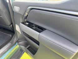 2025 LDV
Terron 9 Evolve