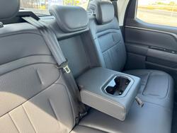 2025 LDV
Terron 9 Evolve