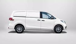 LDV G10